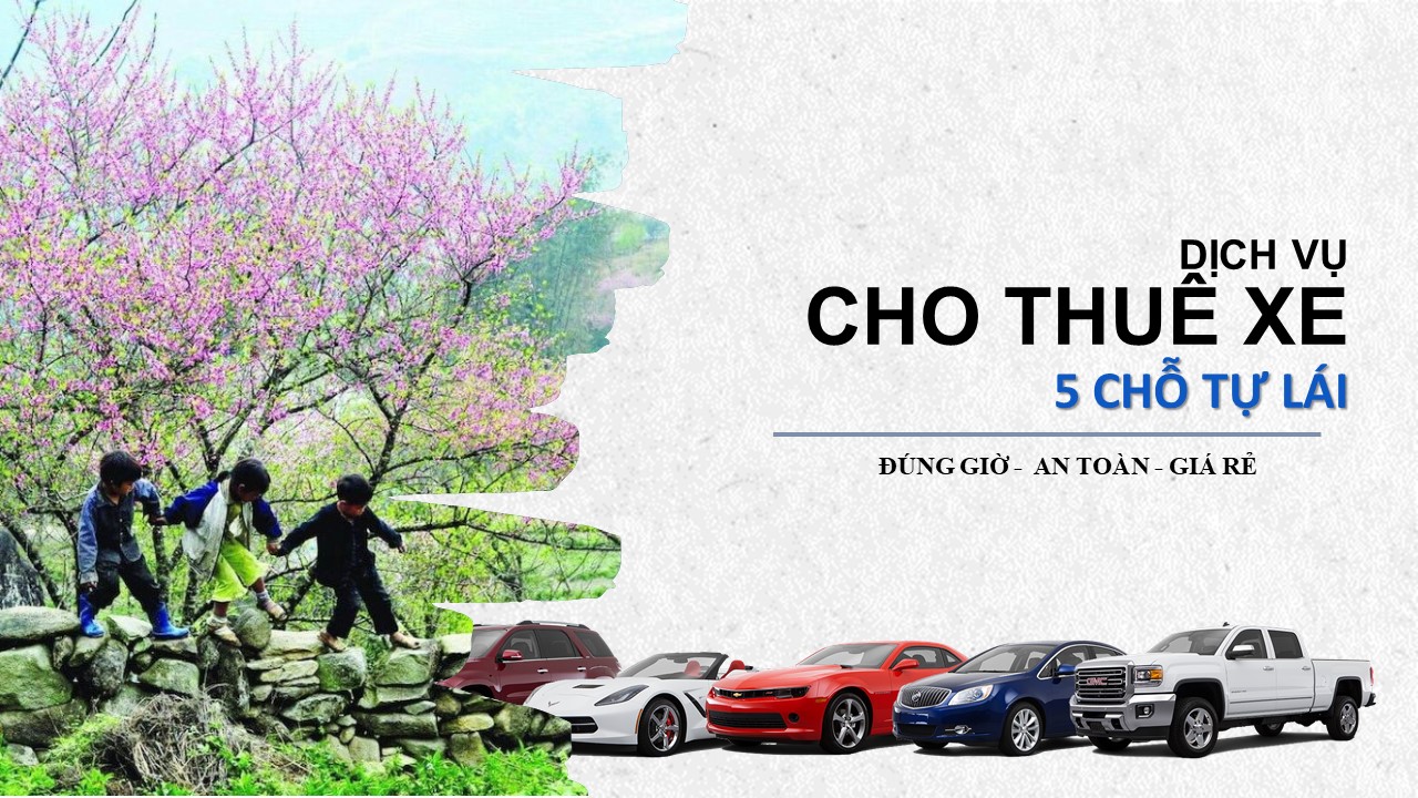 Cho thuê xe ô tô 5 chỗ tự lái có lái đi chơi tết